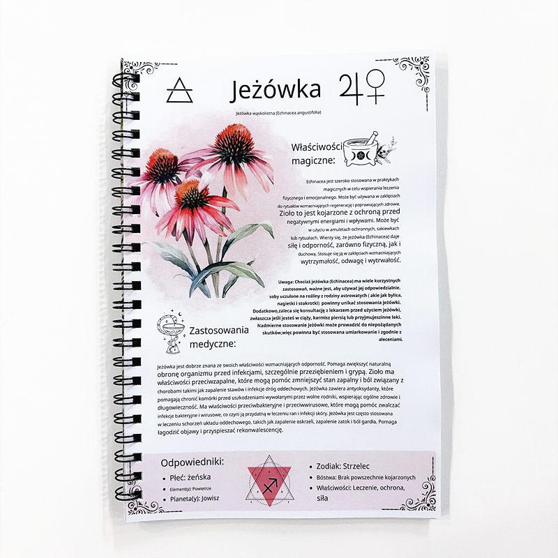 The Lost Book of Herbal Remedi – обзор и цена Natural Herbal Wellness