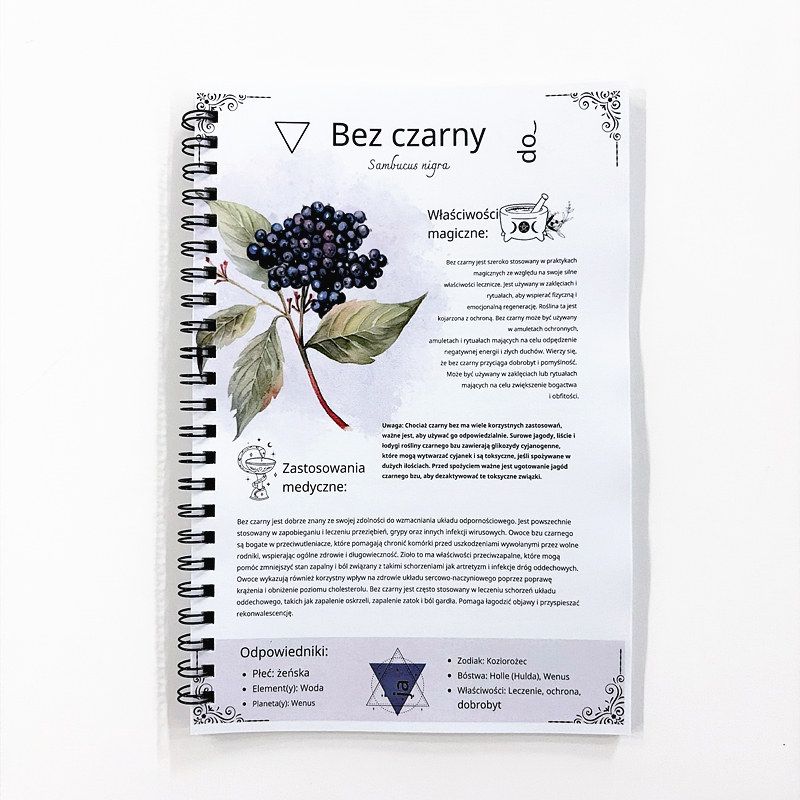 The Lost Book of Herbal Remedi – обзор и цена Natural Herbal Wellness